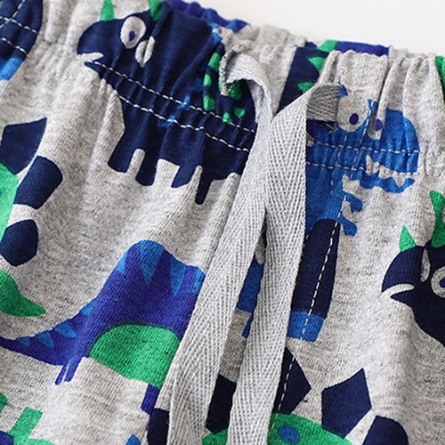 Toddler Boys Short Sleeve Cartoon Dinosaur Prints Tops Shorts Kids Sets 2PCS - Picture 12 of 24