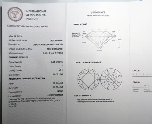 ANILLO 3CT DIAMANTE CULTIVADO EN LABORATORIO CERTIFICADO IGI COLOR VS1 ORO BLANCO 14K CAÑA EURO - Imagen 13 de 13