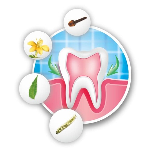 Arodent Ayurvedic Gum & Dental Paste 100gm Toothpaste 100% Herbal - Picture 7 of 10