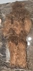 Picture 6 of 6