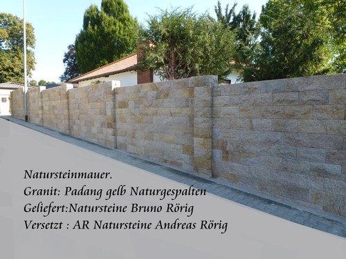 Treppen Trittstufen Stellstufe Granit Marmor poliert Setzstufe komplett Stufe - Bild 14 von 22