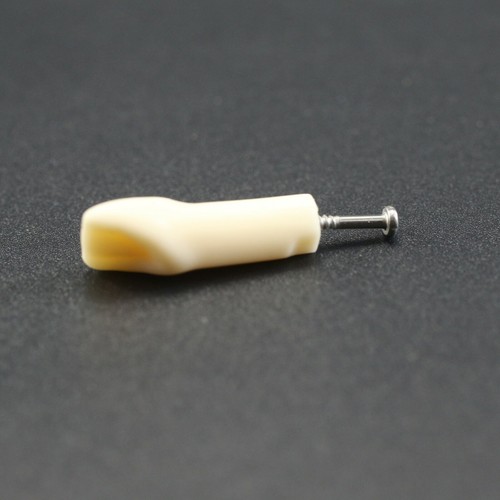Kilgore NISSIN 200 Dental Typodont Model Mounting Pole 32pc Removable Teeth - Picture 98 of 118