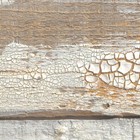 Bild 36 von 119
