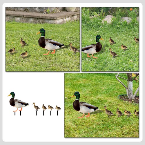 Decoración de estaca de pato de patio resistente realista decoración de estaca de acrílico para decoración de césped - Imagen 11 de 12