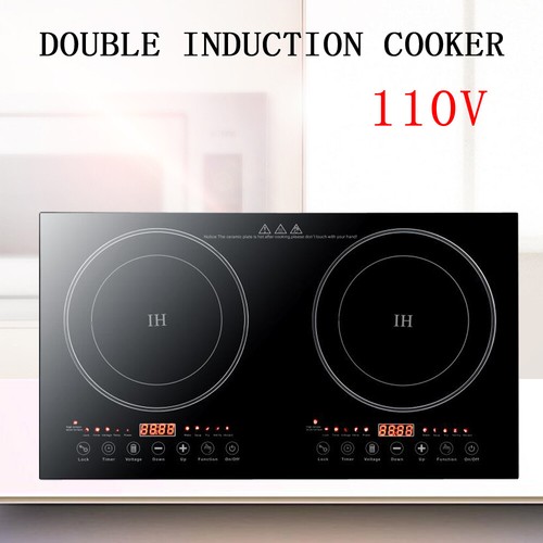 2 burner induction cooktop 110v