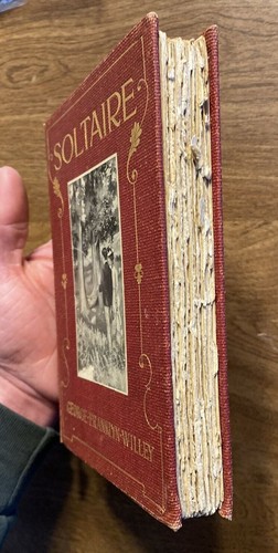 Soltaire by George Franklyn Willey 1902 Book Illustrated Engravings B13 - Imagen 4 de 12