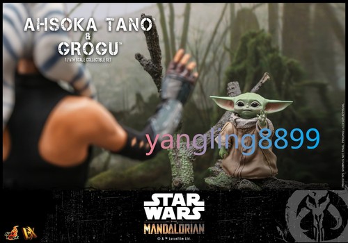 Hot Toys Star Wars Mandalorian Ahsoka Tano & Grogu 1/6 Figure Set Collectible BN - Picture 5 of 23