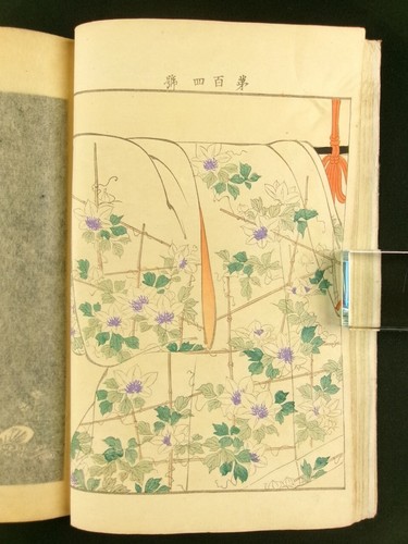 Libro stampa xilografia giapponese KYOTO KIMONO DESIGN Ueno Seiko Yuzen Meiji b728 - Foto 8 di 15