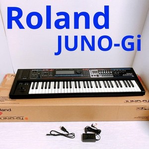 Roland Juno-Gi | eBay