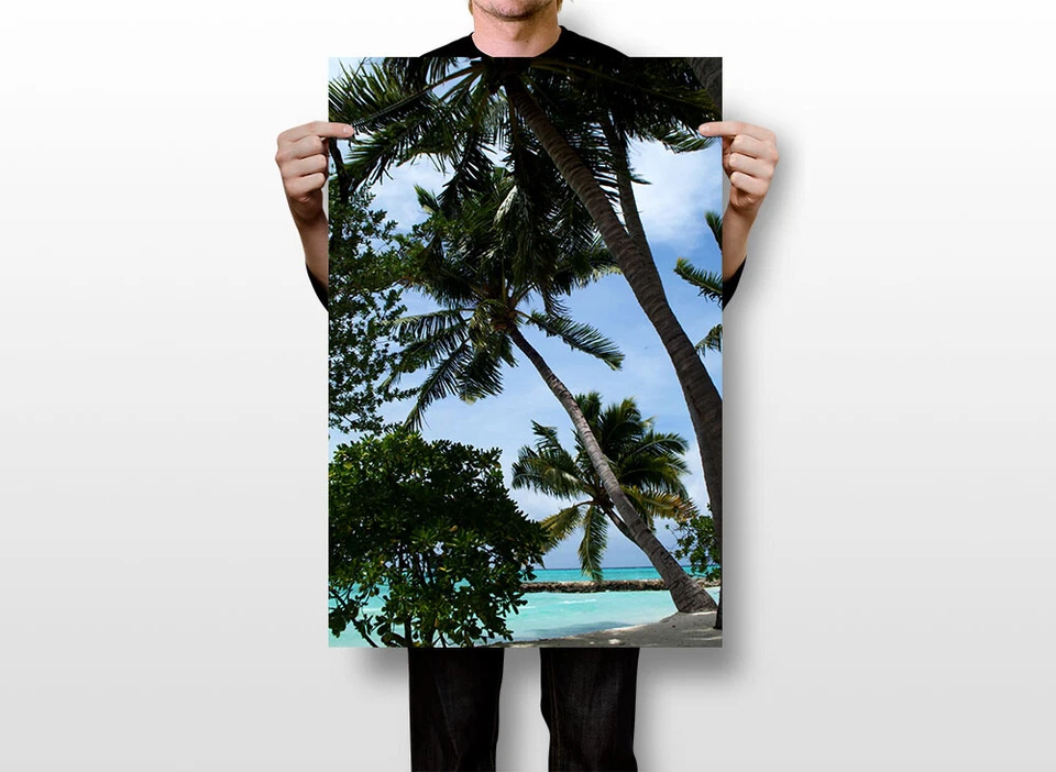 Palmera en Maldivas Naturaleza Árboles Pintura Arte de Pared Decoración del Hogar - PÓSTER 20x30 Foto 3 de 3