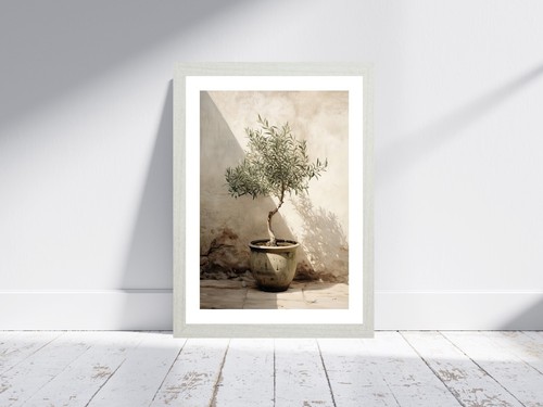 Olive Tree In Courtyard Poster - Plant Wall Art Print - A5 A4 A3 #184 - Picture 10 of 17