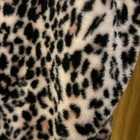 Picture 3 of 4