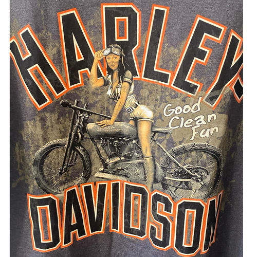 Harley Davidson Men's T-shirt Gray Myrtle Beach, SC Size XL NEW With Tags - Picture 3 of 8