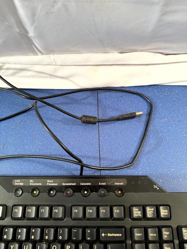 IBM SK-8815 Enhanced Keyboard Wired QWERTY (Standard) for Laptop/PC | UNTESTED - Picture 6 of 8
