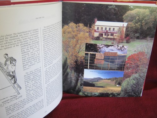 That Little Train: Puffing Billy Railway 1900-53 ~ Peter Cuffley UNread in MELB - Picture 9 of 12