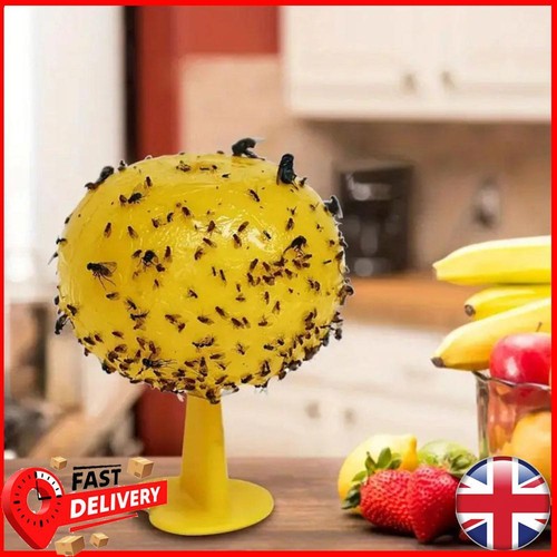 Fruit Fly Trap Killers Fruit Fly Catchers Yellow Insect Fly Trap for Home Farm