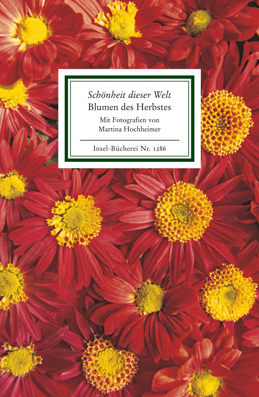 Martina Hochheimer | »schönheit Dieser Welt«. Blumen Des Herbstes |