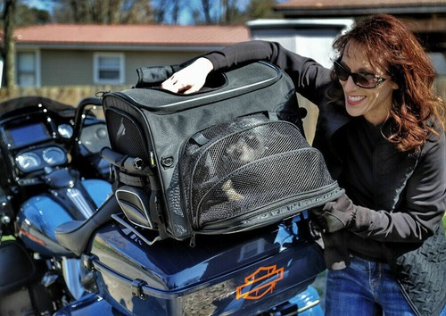 Portaequipajes universal para motocicleta mascota perro Nelson Rigg Rover Harley Goldwing Touring - Imagen 12 de 12