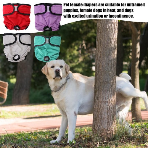 4 Pack Dog Nappies Female Diapers Pants Pet Reusable Heat Season Period 5 SIZE - Picture 8 of 16