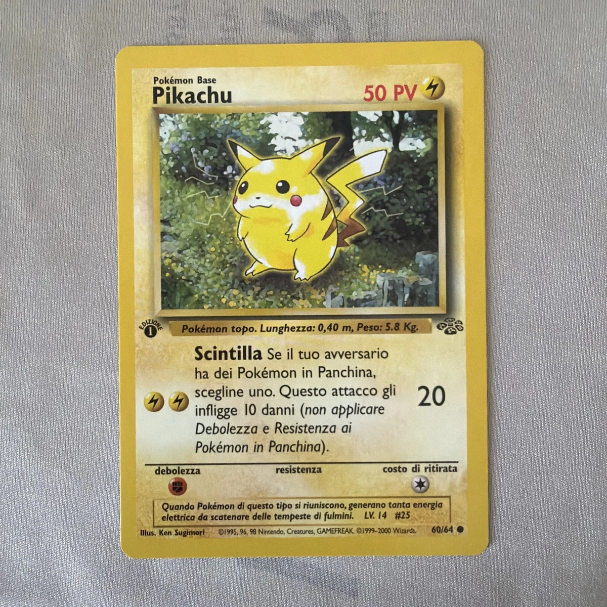 Pokmon TCG Common Individual Collectible Card Game Cards in Italian for sale | eBay Pokmon TCG Common Individual Collectible Card Game Cards in Italian for sale | eBay