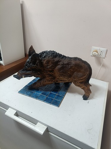 trofeo cinghiale - Foto 2 di 6