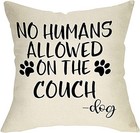 No Humans Allowed on The Couch Pattern Decorative 16" x 16" (Pack of 1) Dog Paw