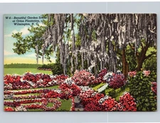 Vintage Orton Plantation Garden Postcard Wilmington NC Colonial Mansion Azaleas