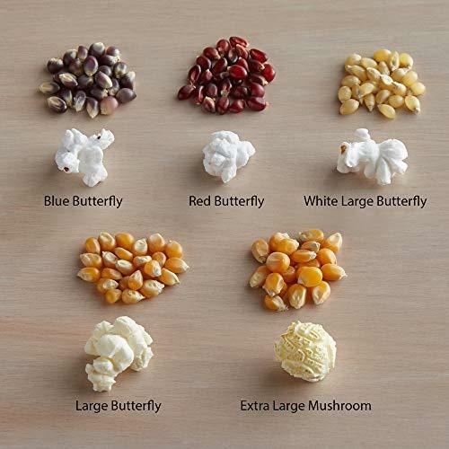 Concession Essentials Premium Gourmet Mushroom Extra Large Popcorn Kernels - - Picture 3 of 3
