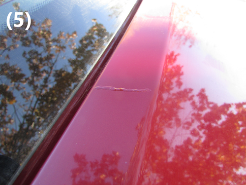 Single Stage Paint Touch Up Kit With Hardener For 2009 - 2019 Audi Q5 - Picture 6 of 50