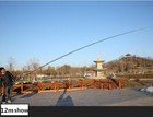 Bild 11 von 12