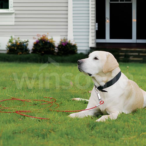 2x Haustier Hund Tie Out 6 Fuß Camping Garten Outdoor Kabel Draht Verlängerungsleine Leine - Bild 5 von 22