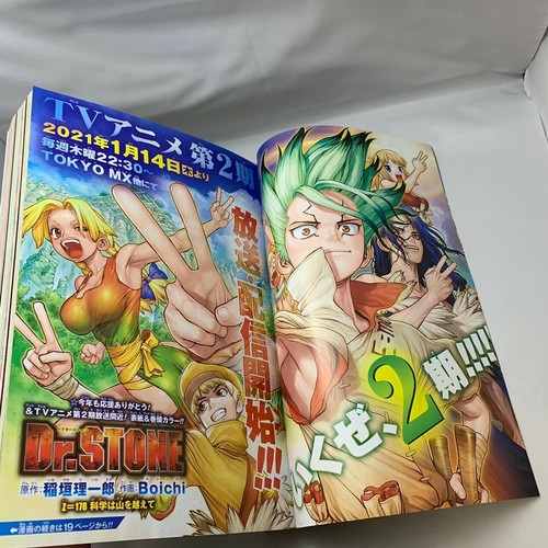 Weekly Shonen JUMP Japanese 2021 2 Dr.stone chainsaw man the promised neverland - Picture 4 of 8