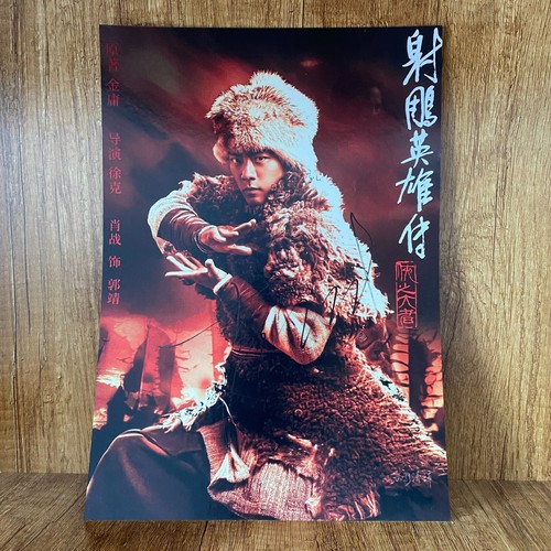 POSTER FOTOGRAFICO FIRMATO XIAO ZHAN AUTOGRAFATO A4 射雕英雄传侠之大者 2025A - Foto 3 di 4