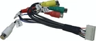 Foto 12 di 22