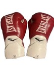 Everlast 10 oz. Weight Boxing Gloves