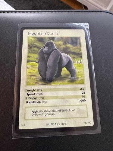 LIFE TCG - Picture 15 of 45