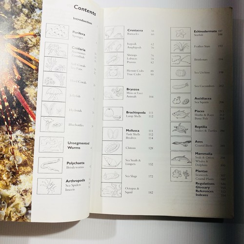 Two Oceans Field Guide to the Marine Life of Southern Africa Book Branch revisado - Imagen 7 de 13