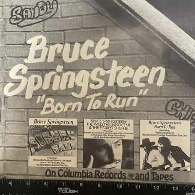 ORIGINAL 1975 Promo Poster Bruce Springsteen 'Born To Run' Album