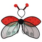 Foto 12 di 19