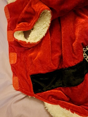 dog coats winter - Picture 4 of 9