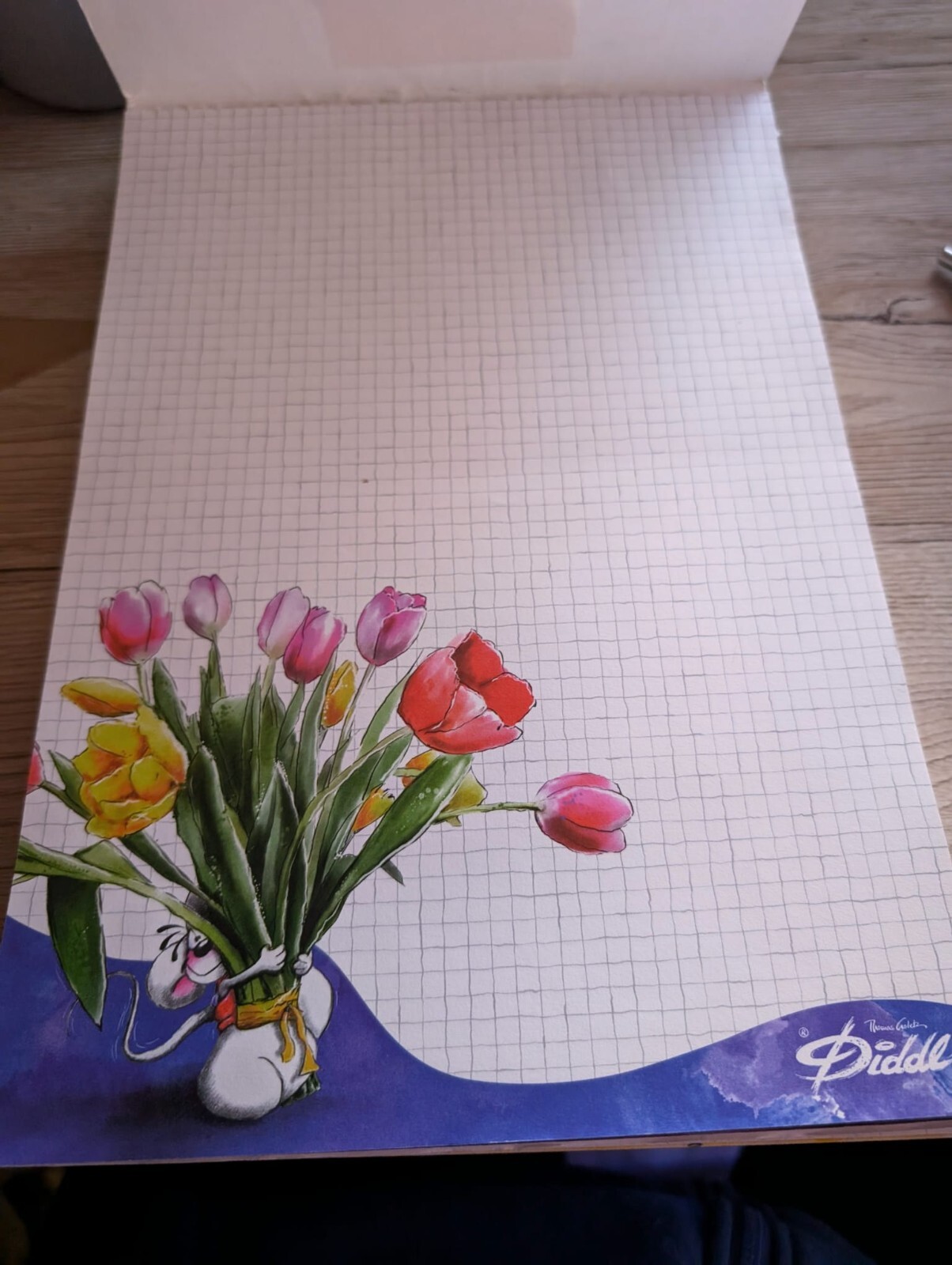 Bild 5 von 106