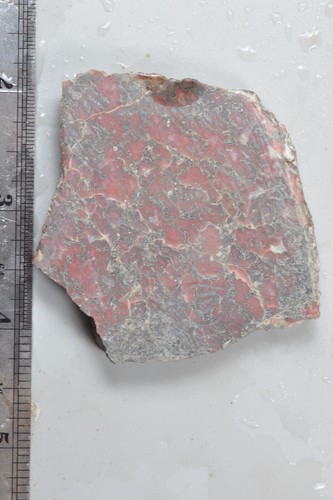 Red Agatized Dinosaur Bone Slab, Utah, EX Shirley Collection, 50 grams - Picture 3 of 6