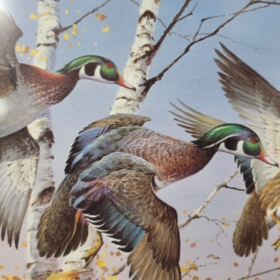 1986 Vermont Waterfowl Wood Duck Stamp Print First of State Lim Edit Hand Signed - Image 2 of 4