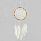 Medium Cream Crochet Dreamcatcher Feathers Camper Van Life Hippy Boho Gift