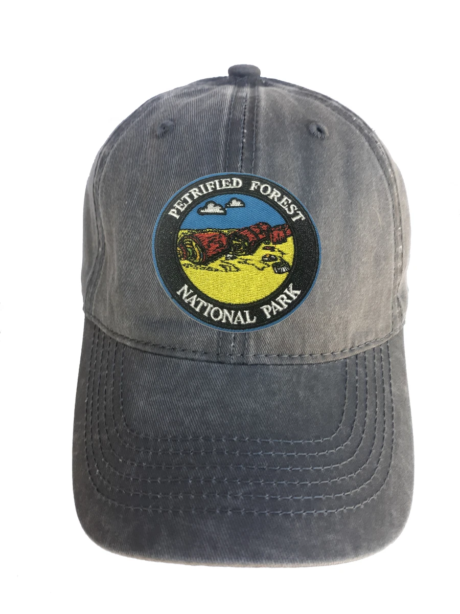 Petrified Forest Park Adjustable Curved Bill Strap Back Dad Hat