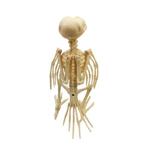 Halloween Decoration Animal Skeleton Bone Props Party Creepy Bird Crow Raven - Picture 5 of 10