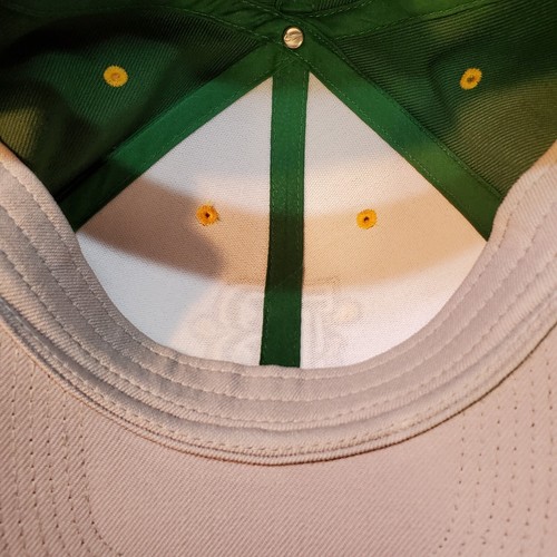 Nike Brockport Mütze Herren grün Riemen hinten Steinadler Dri Fit Legacy 91 Kappe - Bild 8 von 10