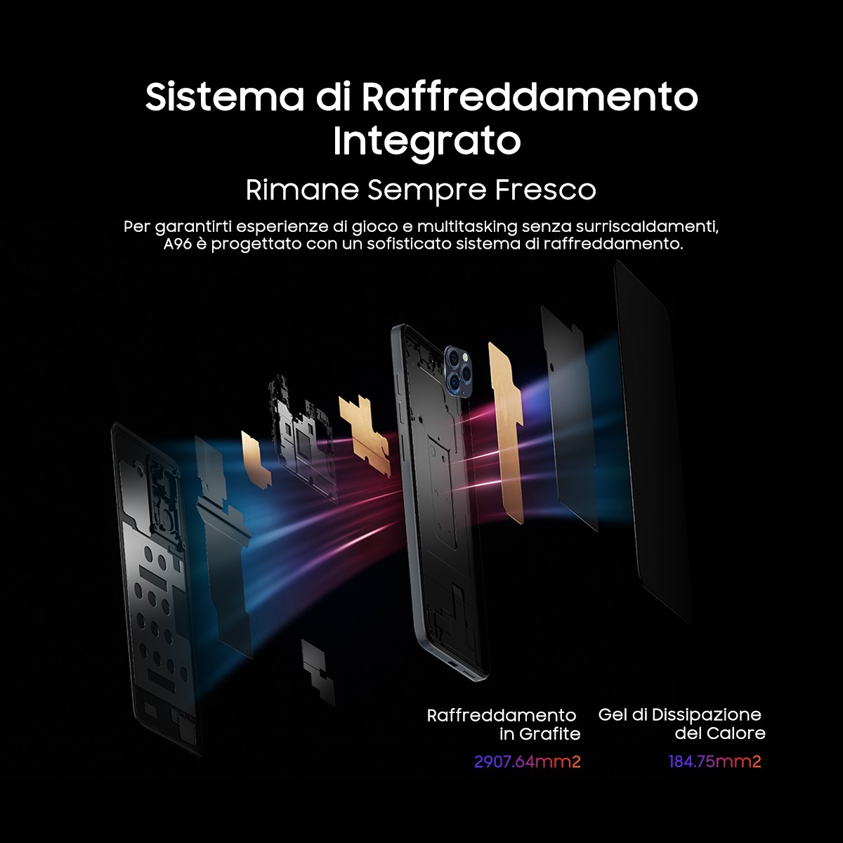 Foto 6 di 13
