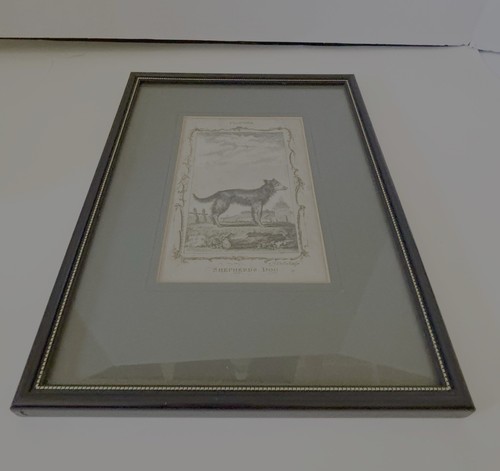 18th Century Engraving ( 1726-1809 ) Andrew Bell  Shepherds  Dog Aquatint - Picture 3 of 5