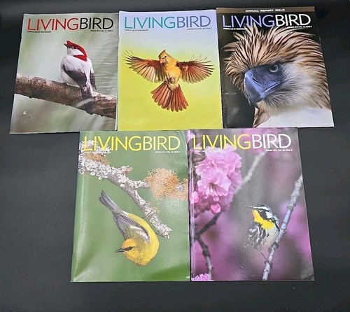 Living Bird Cornell Lab Of Orinthology Magazine Lot - Picture 3 of 4